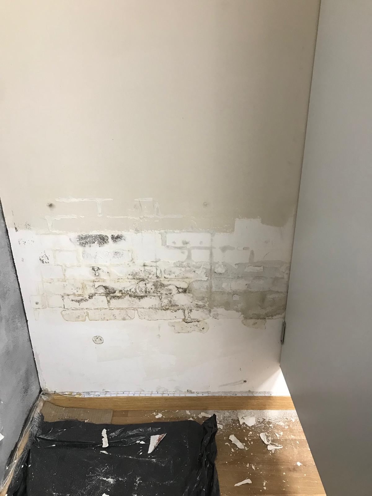 1.Probadores con humedad